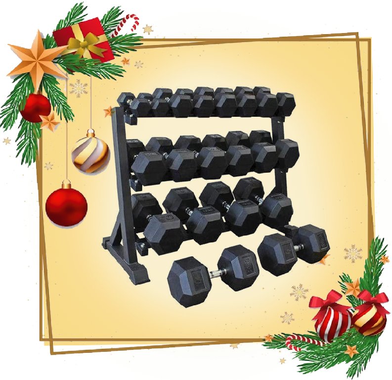 Miracle Fitness Sports Leading Home Gym Equipment Online Store In UAE