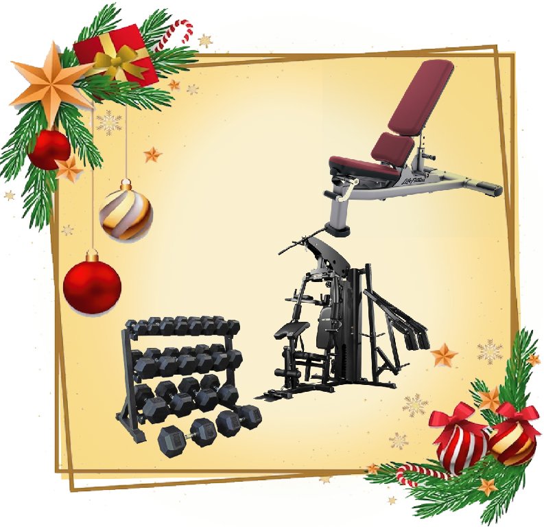 Miracle Fitness Sports Leading Home Gym Equipment Online Store In UAE