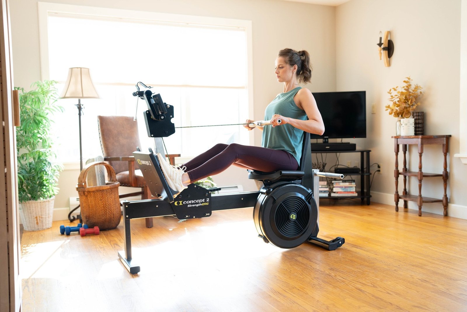 Concept 2 StrengthErg Full-Body Air Resistance Strength Trainer