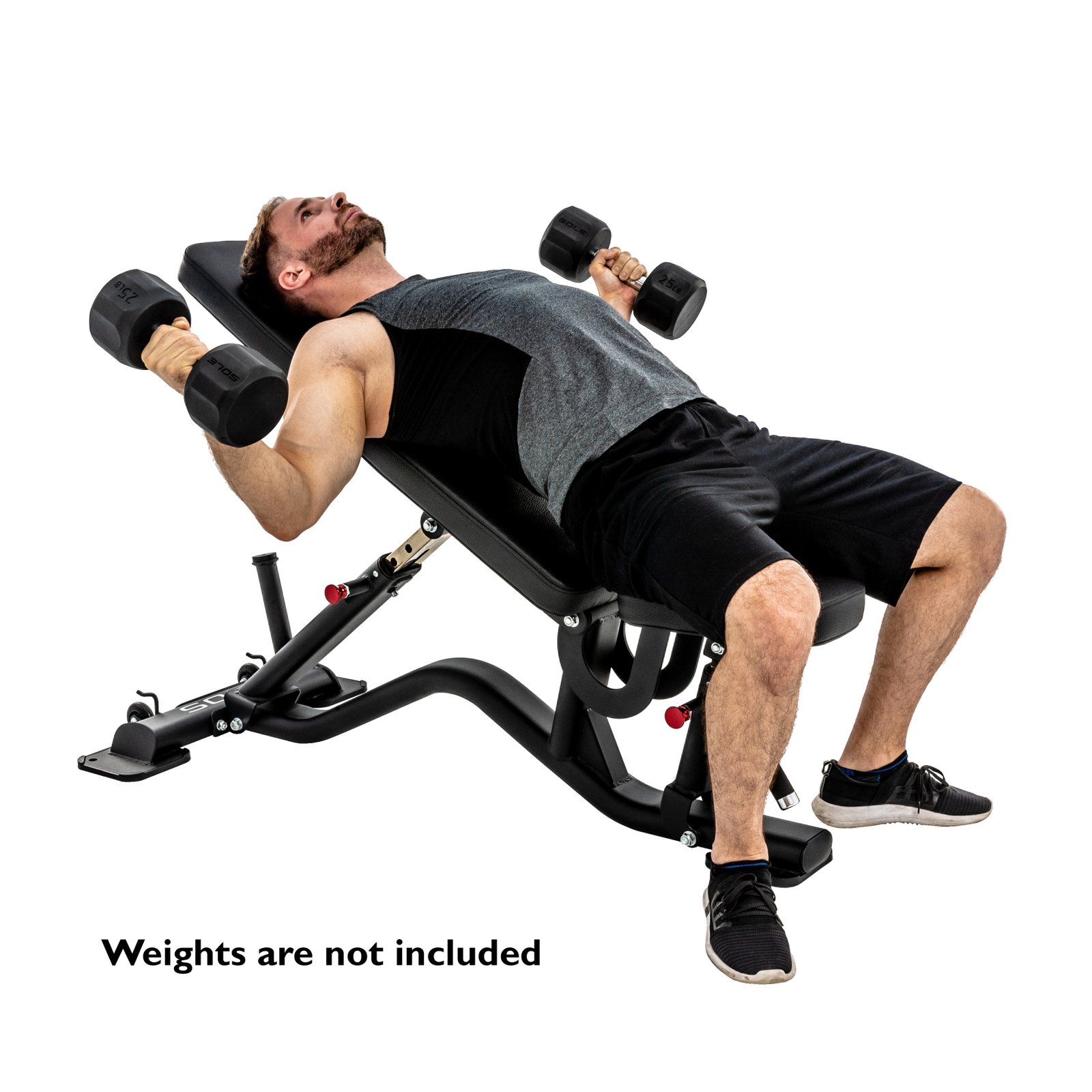 Sole Fitness SFI100 Multi-Angle Bench