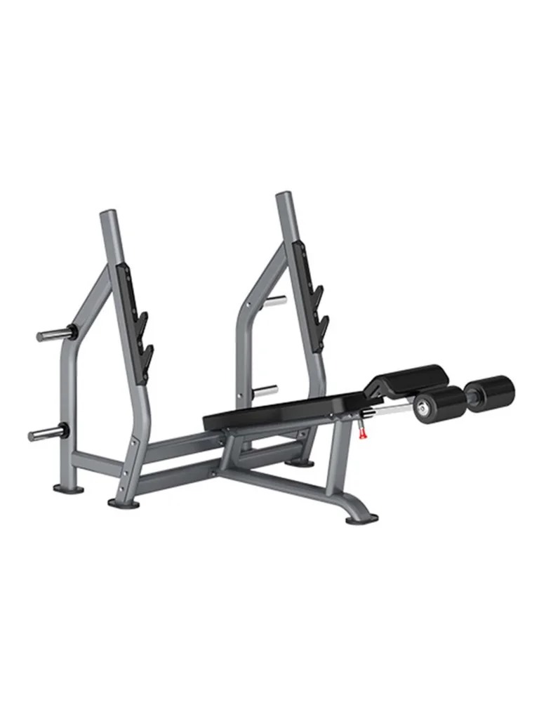 Insight Fitness Decline Olympic Bench DR006B