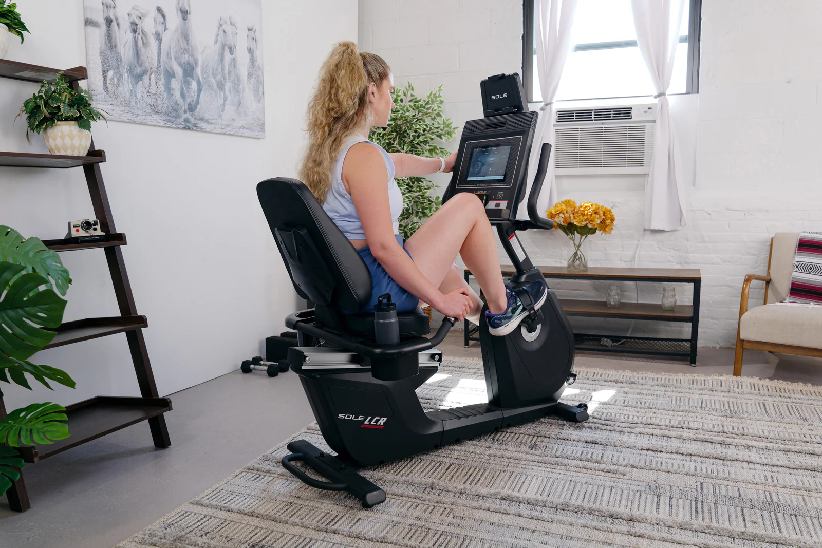 SOLE LCR Exercise Recumbent Bike