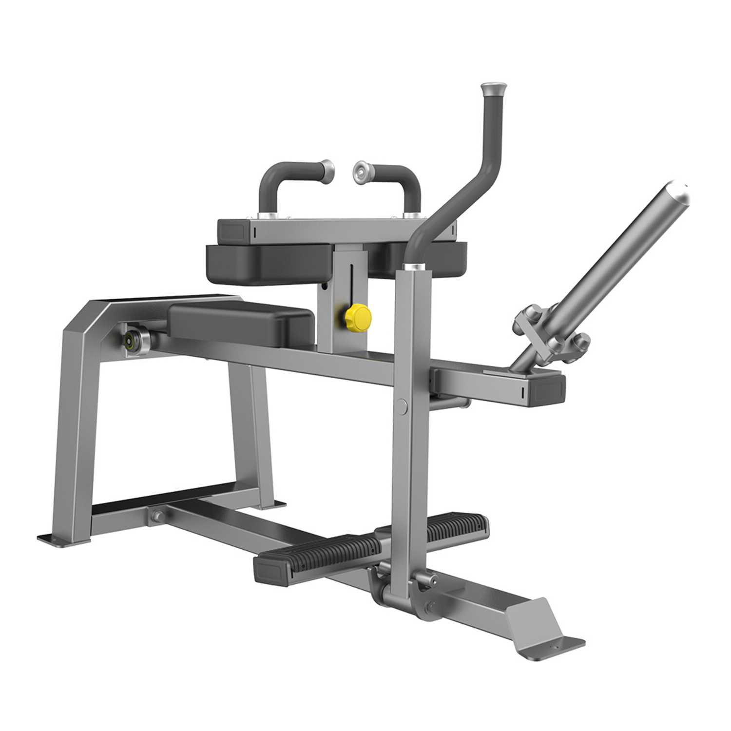 Dhz Fitness Seated Calf